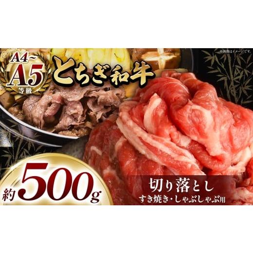 ふるさと納税 牛肉 すき焼き 栃木県 真岡市 とちぎ和牛 すき焼き・しゃぶしゃぶ用 切り落とし 500g | 栃木県共通返礼品 ご褒美 プレゼント 贈答 おいしい 和牛…