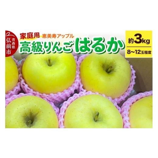 ふるさと納税 りんご 青森県 弘前市 25年12月〜発送 りんご 高級りんご・はるか はるか 約3kg 家庭用 青森県 フルーツ 果物