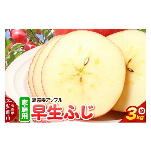 ふるさと納税 りんご 青森県 弘前市 26年10月発送 りんご 一足早くふじの味・早生ふじ 早生ふじ 家庭用 約3kg 先行受付 青森県 弘前市 果物 フルーツ 林檎 リ…