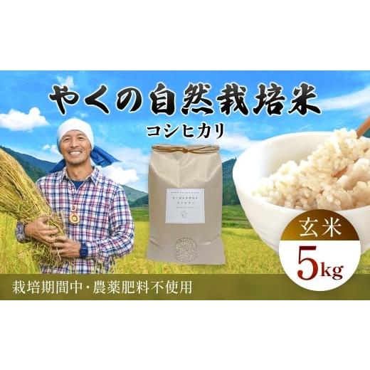 ふるさと納税 玄米 京都府 福知山市 令和7年産 やくの自然栽培米 コシヒカリ 玄米 5kg / 自然栽培米 自然栽培 こめ コメ 米 玄米 コシヒカリ こしひかり お米…