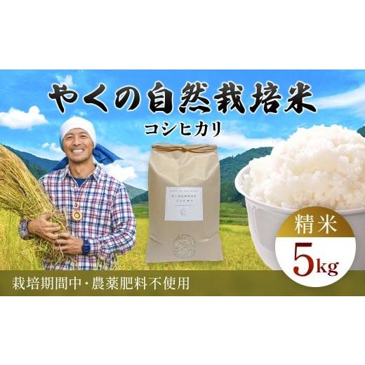 ふるさと納税 米 コシヒカリ 京都府 福知山市 令和7年産 やくの自然栽培米 コシヒカリ精米 (白米) 5kg / 自然栽培米 自然栽培 こめ コメ 米 白米 精米 コ…