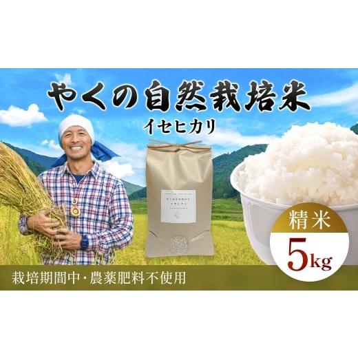 ふるさと納税 米 京都府 福知山市 令和7年産 やくの自然栽培米 イセヒカリ 5kg 精米 (白米) / 自然栽培米 自然栽培 こめ コメ 米 白米 精米 イセヒカリ い…