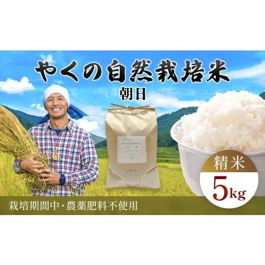 ふるさと納税 米 京都府 福知山市 令和7年産 やくの自然栽培米 朝日 5kg 精米 (白米) / 自然栽培米 自然栽培 こめ コメ 米 白米 精米 イセヒカリ いせひか…