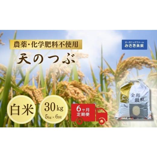 ふるさと納税 米 福島県 南相馬市 6か月定期便 天のつぶ 白米 30kg (5kg×6回) 令和7年産 | 無農薬 農薬不使用 化学肥料不使用 精米 お米 米 福島産 福島県産…