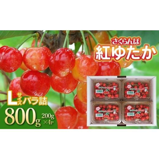 ふるさと納税 果物類 さくらんぼ 山形県 鶴岡市 令和8年産先行予約 さくらんぼ 紅ゆたか フードパック Lサイズ 800g(200g×4P) 山形県鶴岡産 鈴木さく…