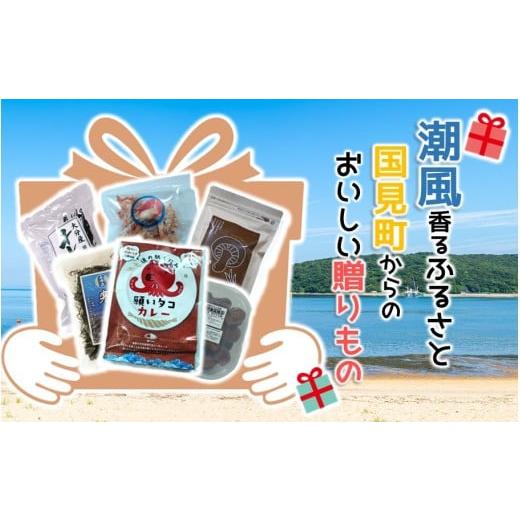 ふるさと納税 加工品等 レトルト 大分県 国東市 潮風香るふるさと 国見町からのおいしい贈りもの 大分県 セット 詰合せ カレー わかめ ひじき 梅干し えびせん…