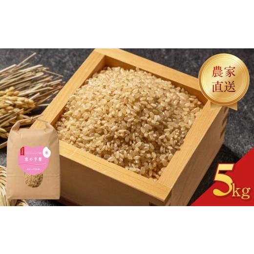 ふるさと納税 米 山口県 下関市 令和7年度米 恋の予感 玄米 5kg 5kg