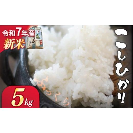 ふるさと納税 米 コシヒカリ 奈良県 奈良市 新米 令和7年産 白米 精米 5kg コシヒカリ つげゆたか こしひかり つやつや ふっくら おいしい うま味 甘 甘い 産…