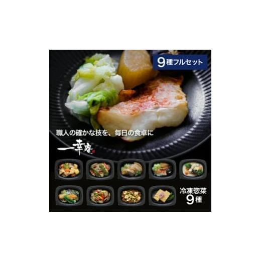ふるさと納税 加工品等 兵庫県 尼崎市 冷凍惣菜 一幸庵の手作りごちそう惣菜9種セット/手作り・管理栄養士監修 1682038
