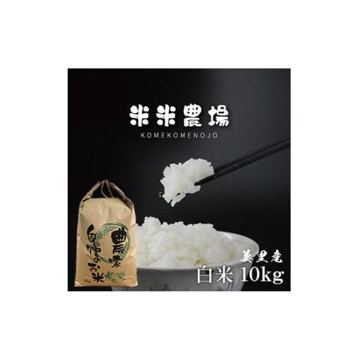 ふるさと納税 米 熊本県 美里町 令和7年産 九州のお米食味コンクール2年連続優勝 熊本県美里町のお米 ヒノヒカリ 10kg×1袋 1681365