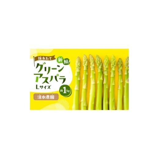ふるさと納税 野菜類 アスパラガス 北海道 富良野市 2026年先行予約 ふらの産グリーンアスパラLサイズ計1kg 1675382