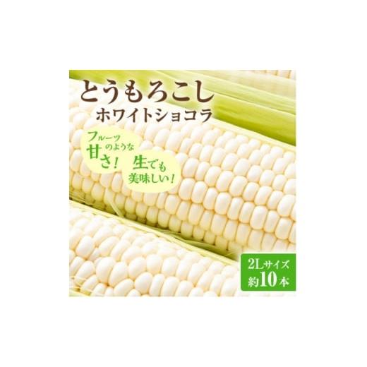 ふるさと納税 とうもろこし 北海道 富良野市 2026年先行受付 富良野産ホワイトとうもろこし ホワイトショコラ計10本 1678459