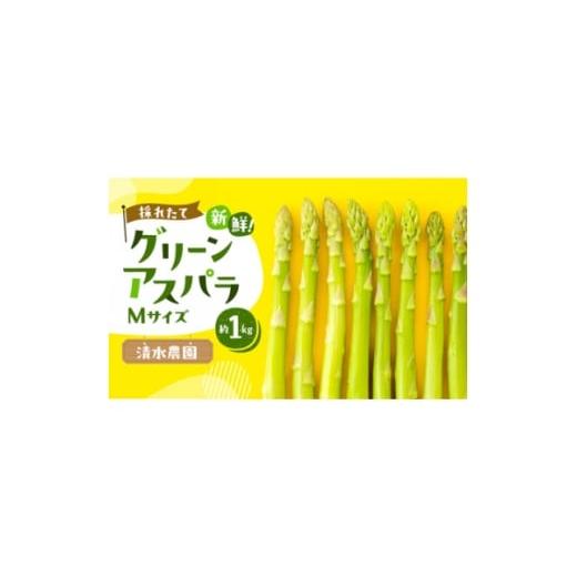 ふるさと納税 野菜類 アスパラガス 北海道 富良野市 2026年先行受付 ふらの産グリーンアスパラ Mサイズ(1本:13g〜20g程度)×1kg 1678467