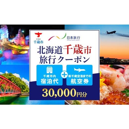 ふるさと納税 旅行 北海道 千歳市 北海道千歳市 日本旅行 地域限定旅行クーポン30,000円分