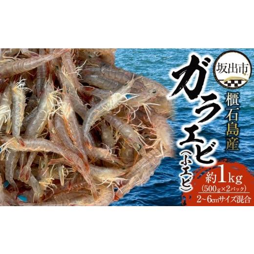 ふるさと納税 エビ 香川県 坂出市 櫃石島産ガラエビ(小エビ)約1kg 500g×2パック