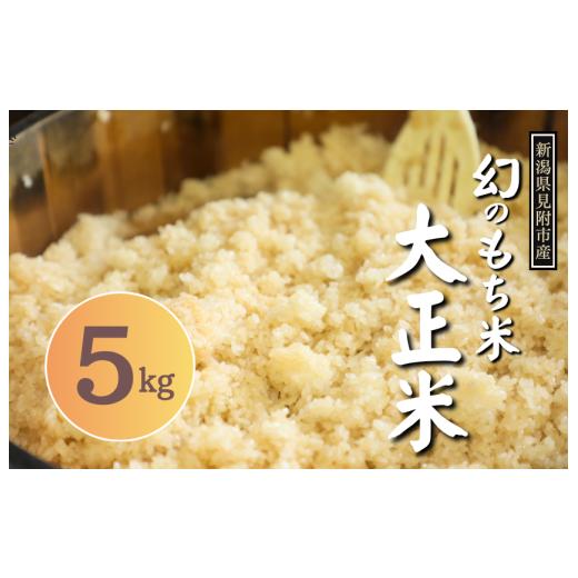 ふるさと納税 米 新潟県 見附市 ふるなび・ふるさとチョイス 令和6年産 幻のもち米「大正米」 5kg
