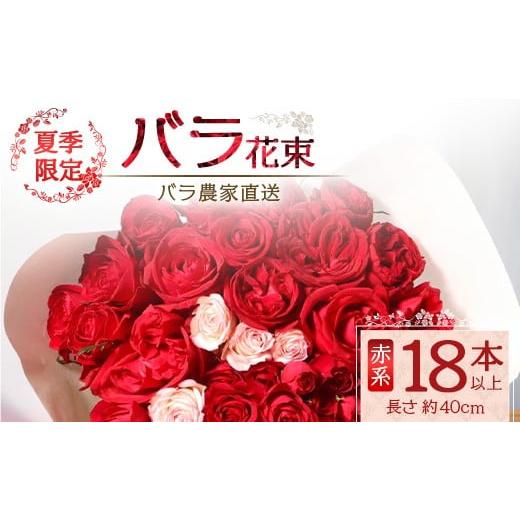 ふるさと納税 花・苗木 花束 鹿児島県 南大隅町 先行予約・夏季限定 薔薇 ばら農家直送 バラ花束18本以上お届け(赤系) ギフト対応可 TB-1│ローズ 新鮮 花 フ…