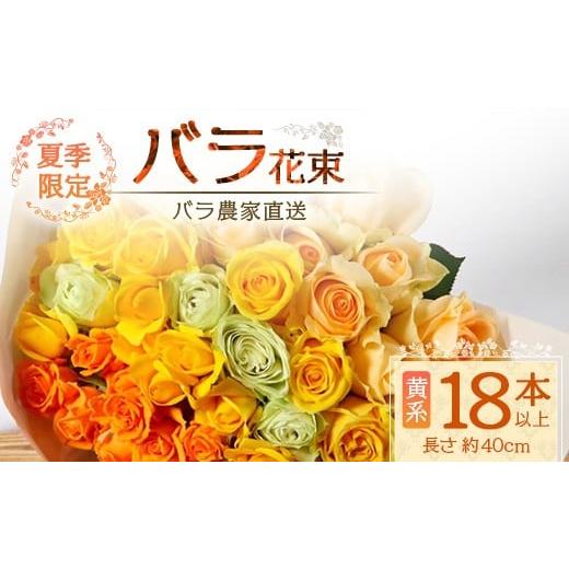 ふるさと納税 花・苗木 花束 鹿児島県 南大隅町 先行予約・夏季限定 薔薇 ばら農家直送 バラ花束18本以上お届け(黄系) TB-3│ローズ 新鮮 花 フラワー 花束 …