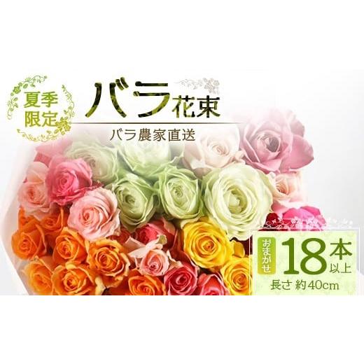 ふるさと納税 花・苗木 花束 鹿児島県 南大隅町 先行予約・夏季限定 薔薇 ばら農家直送 バラ花束18本以上お届け(色はおまかせ) ギフト対応可 TB-4│ローズ 新…