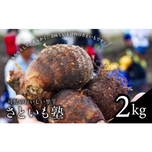 ふるさと納税 野菜類 岐阜県 可児市 可児のおいしい里芋『さといも塾』2kg さといも 里芋 土垂れ いも 秋 旬 グルメ 煮物