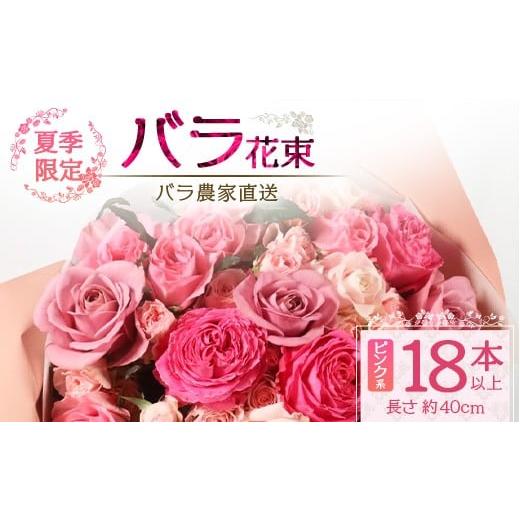 ふるさと納税 花・苗木 花束 鹿児島県 南大隅町 先行予約・夏季限定 薔薇 ばら農家直送 バラ花束18本以上お届け(ピンク系) ギフト対応可 TB-2│ローズ 新鮮 …