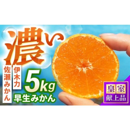 ふるさと納税 果物類 みかん 長崎県 諫早市 早生みかん 5kg / 諫早市 /伊佐農園