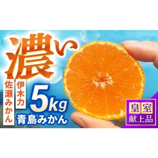 ふるさと納税 果物類 みかん 長崎県 諫早市 青島みかん 5kg / 諫早市 /伊佐農園