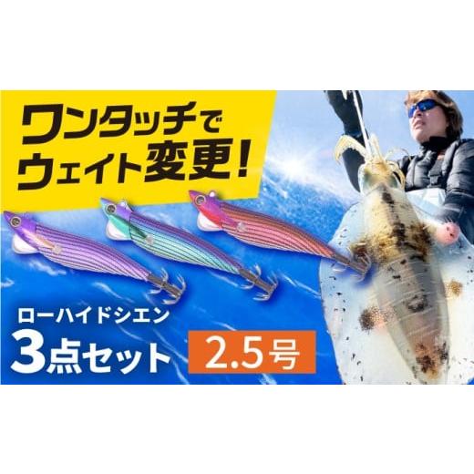 ふるさと納税 フィッシング ルアー・フライ 岐阜県 岐阜市 ローハイド紫煙(シエン)2.5号3点アソートセット 着脱シンカー イカ釣り 専用エギ 岐阜市 / ジー…