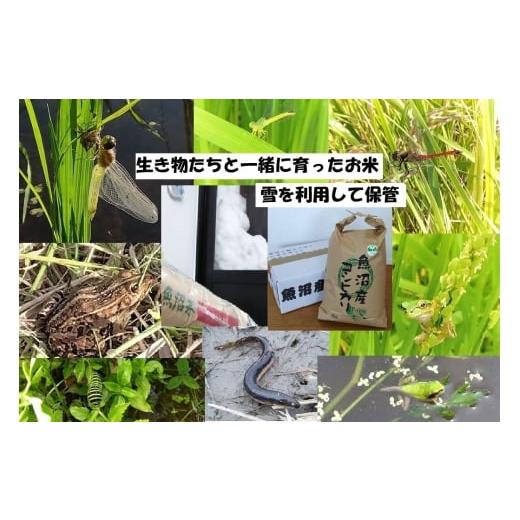 ふるさと納税 米 コシヒカリ 新潟県 魚沼市   魚沼ブランド 精米10kg 6ヶ月連続お届け 農薬化学肥料栽培期間中不使用・生態系保全・再生可能エネ…