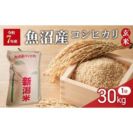 ふるさと納税 米 コシヒカリ 新潟県 魚沼市   令和7年産 玄米 魚沼産コシヒカリ 30kg 1袋