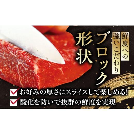 ふるさと納税 馬肉 熊本県 合志市  全6回定期便 国産 サシが決め手馬刺しセット 約500g 熊本馬刺し ばさし 食べ比べ セット 大トロ馬刺し 中トロ 霜降り 馬刺…の画像