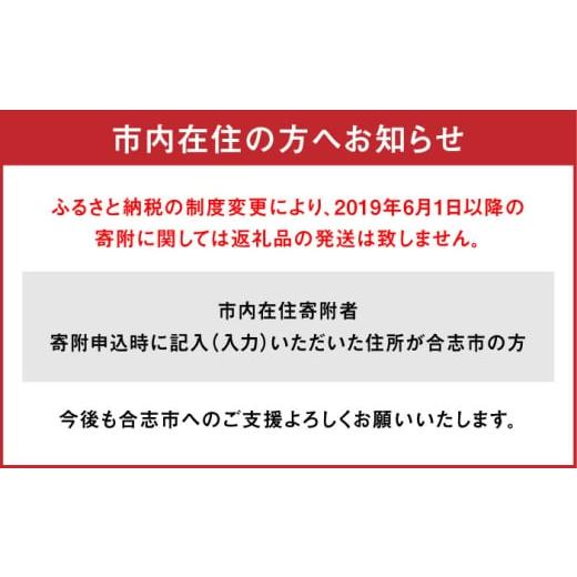 ふるさと納税 馬肉 熊本県 合志市  全6回定期便 国産 サシが決め手馬刺しセット 約500g 熊本馬刺し ばさし 食べ比べ セット 大トロ馬刺し 中トロ 霜降り 馬刺…の画像
