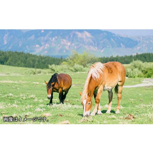 ふるさと納税 馬肉 熊本県 合志市  全12回定期便 赤身 馬刺し 計約400g(約100g×4パック) 五右衛門フーズ熊本店 AYBV044の画像