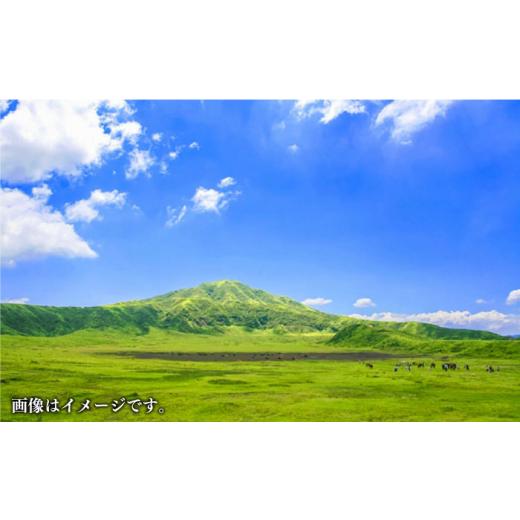 ふるさと納税 馬肉 熊本県 合志市  全12回定期便 赤身 馬刺し 計約400g(約100g×4パック) 五右衛門フーズ熊本店 AYBV044の画像