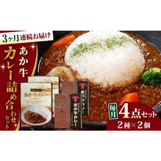 ふるさと納税 牛肉 カレー・シチュー 熊本県 合志市 全3回定期便 熊本県産 あか牛 カレー詰め合わせセット 熊本 有限会社 三協畜産