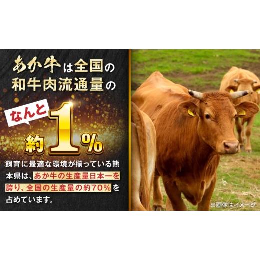 ふるさと納税 牛肉 ハンバーグ 熊本県 合志市 全6回定期便 くまモンあか牛ハンバーグ 約120g 6個 冷凍 計約720g ／ ハンバーグ はんばーぐ hamburg hannba-gu…_4