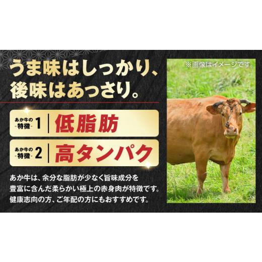 ふるさと納税 牛肉 ハンバーグ 熊本県 合志市 全6回定期便 くまモンあか牛ハンバーグ 約120g 6個 冷凍 計約720g ／ ハンバーグ はんばーぐ hamburg hannba-gu…_5