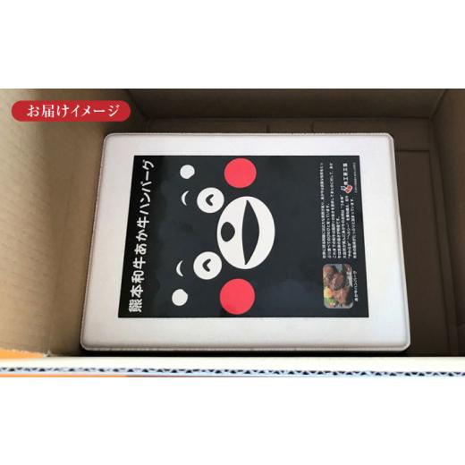 ふるさと納税 牛肉 ハンバーグ 熊本県 合志市 全6回定期便 くまモンあか牛ハンバーグ 約120g 6個 冷凍 計約720g ／ ハンバーグ はんばーぐ hamburg hannba-gu…_8