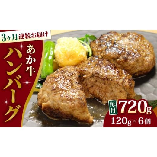 ふるさと納税 牛肉 ハンバーグ 熊本県 合志市 全3回定期便 あか牛 100%ハンバーグ 約120g×6個 有限会社 三協畜産