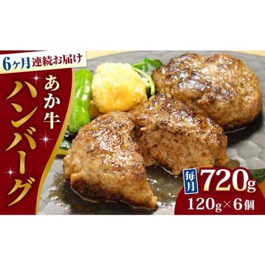 ふるさと納税 牛肉 ハンバーグ 熊本県 合志市 全6回定期便 あか牛 100％ハンバーグ 約120g×6個 有限会社 三協畜産 AYCQ084_1