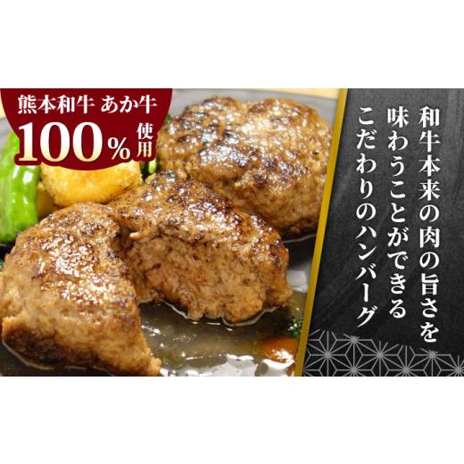 ふるさと納税 牛肉 ハンバーグ 熊本県 合志市 全6回定期便 あか牛 100％ハンバーグ 約120g×6個 有限会社 三協畜産 AYCQ084_3