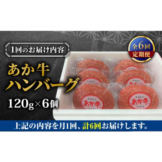 ふるさと納税 牛肉 ハンバーグ 熊本県 合志市 全6回定期便 あか牛 100％ハンバーグ 約120g×6個 有限会社 三協畜産 AYCQ084_5