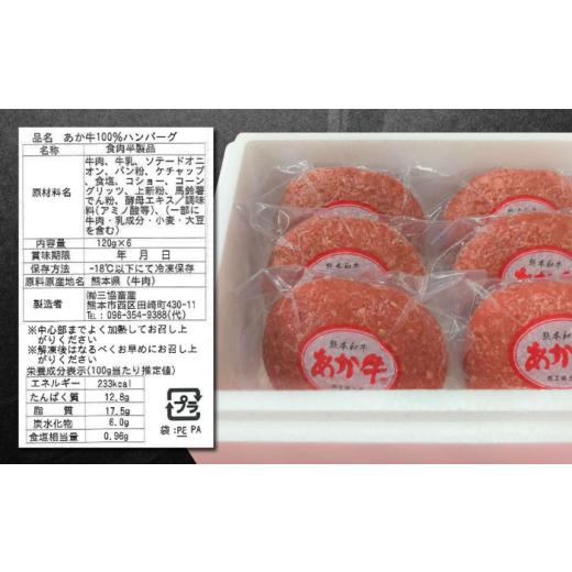 ふるさと納税 牛肉 ハンバーグ 熊本県 合志市 全6回定期便 あか牛 100％ハンバーグ 約120g×6個 有限会社 三協畜産 AYCQ084_6