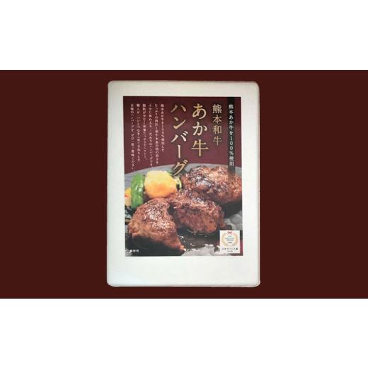 ふるさと納税 牛肉 ハンバーグ 熊本県 合志市 全6回定期便 あか牛 100％ハンバーグ 約120g×6個 有限会社 三協畜産 AYCQ084_7