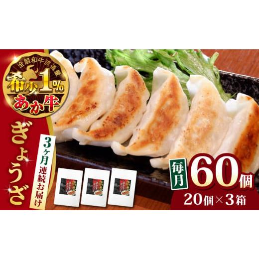 ふるさと納税 牛肉 熊本県 合志市 全3回定期便 熊本県産 あか牛 ぎょうざ 20個×3箱 熊本 有限会社 三協畜産