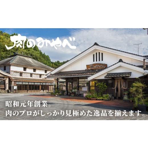 ふるさと納税 馬肉 熊本県 合志市  全12回定期便 熊本肥育 馬刺し 赤身 約300g 熊本馬刺し 国内肥育 熊本 冷凍 馬刺し ばさし 馬肉 馬刺 ヘルシー 小分け 熊本…の画像