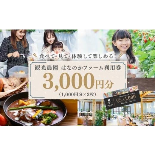 ふるさと納税 入場券・優待券 岐阜県 瑞穂市 「観光農園はなのかファーム」利用券3枚綴り | チケット 体験チケット いちご狩り カフェ お出かけ 休日 離島へ…