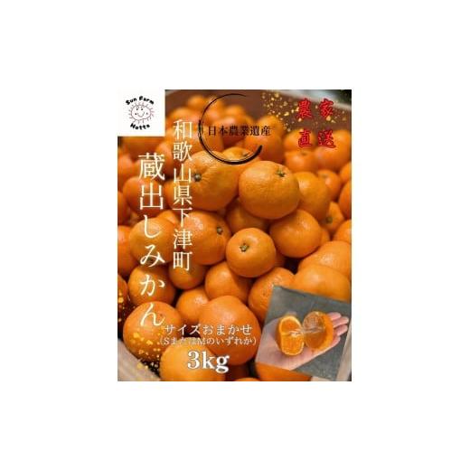ふるさと納税 果物類 みかん 和歌山県 海南市 和歌山県産 下津蔵出しみかん 家庭用 3kg (サイズおまかせSまたはMのいずれか) 農家直送 手選別