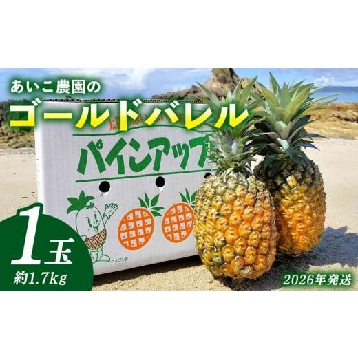ふるさと納税 果物類 沖縄県 東村 あいこ農園のゴールドバレル 1玉(約1.7kg)多冠芽・無冠芽含む 2026年発送 沖縄県産 東村 パイナップル ジューシー 希少 …