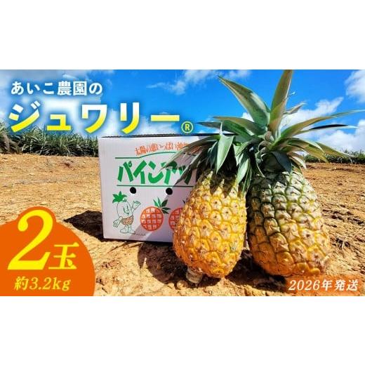 ふるさと納税 果物類 沖縄県 東村 あいこ農園のジュワリー 2玉(約3.2kg) 2026年発送 沖縄県産 東村 パイナップル ジューシー 希少 高級フルーツ 南国フルー…